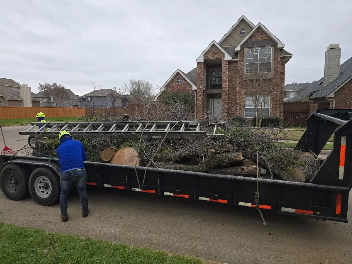 Expert Tree Fertilization with proper safety equipment in Heth
